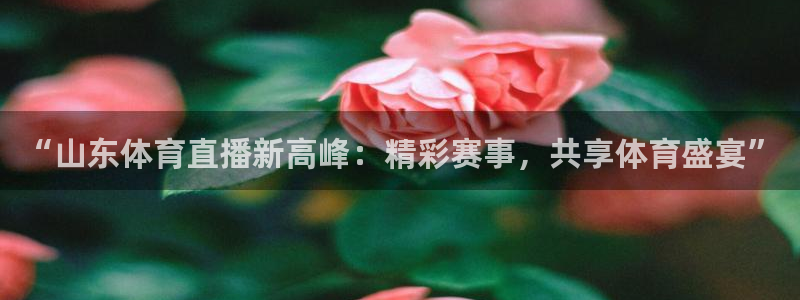 “山东体育直播新高峰：精彩赛事，共享体育盛宴”