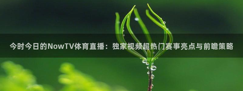 今时今日的NowTV体育直播：独家视频超热门赛事亮点与前瞻策略