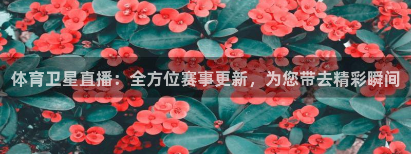 体育卫星直播：全方位赛事更新，为您带去精彩瞬间