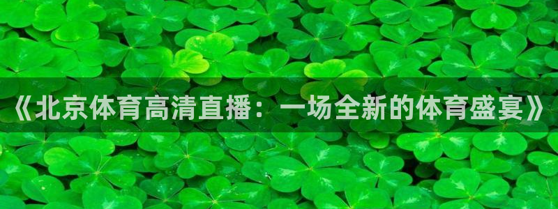 《北京体育高清直播：一场全新的体育盛宴》