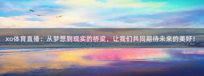 xo体育直播：从梦想到现实的桥梁，让我们共同期待未来的美好！